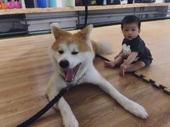 -YCHL Studios健身工作室(市二宫店)