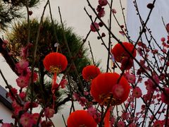 -龙华寺