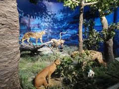 -国家自然博物馆