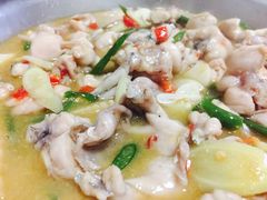 -一撮毛美食城(全力一路店)