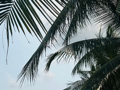 -后海村