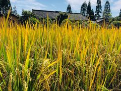 -毛泽东同志旧居