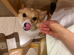 -去茶山(重庆万象城店)