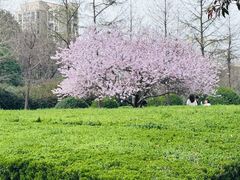 -白塘生态植物园