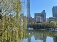 -团结湖公园