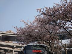 -上海南浦大桥长途旅游客运站