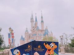 -上海迪士尼度假区