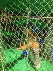 点击看大图 -恐龙探索乐园(磁器口店)