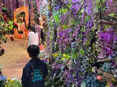 -正佳雨林生态植物园