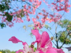 -广州长隆欢乐世界