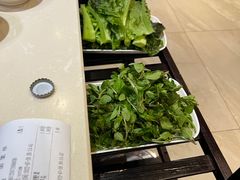 -爱膳菌锅锅(阳南店)