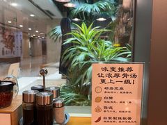 -日出拉面(望京店)