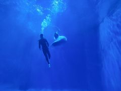 -多彩贵州城极地海洋世界