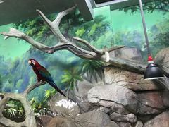 -福州罗源湾海洋世界旅游区