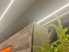 -柿合缘新京菜(国金中心商场店)