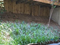 -天怡·鱼工厂(梅溪湖店)