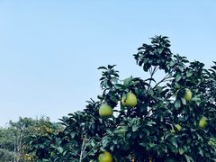 -雨花胜境