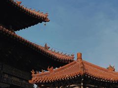 -泰山花样年华景区