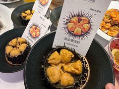 -连鹭海鲜·海肠捞饭·海胆饭(星海店)