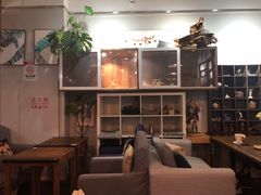 -吉丁鸟咖·异宠·寄养