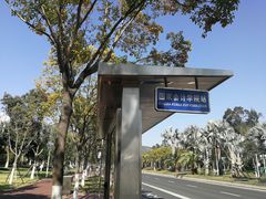 -厦门国家会计学院