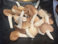 -辣伍鲜毛肚老火锅(元一店)