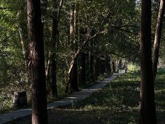 -东湖落雁景区