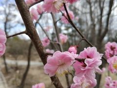 -北京鹫峰国家森林公园