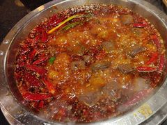 -一斗火锅·招财羊毛肚(北温泉九号店)