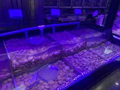 -韩盛·盛江山自助料理(中街大悦城店)