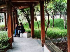 -徐家汇源景区-衡山公园