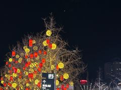 -成都尼依格罗酒店
