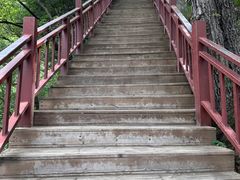 -陕西省红河谷森林公园