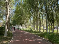 -阿尔丁植物园