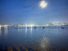 -养马岛旅游度假区