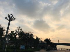 -宝安西湾红树林湿地公园