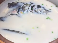 -千岛湖小鱼儿·淳安匠心农家菜