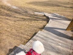 -小意思咖啡店(草桥店)