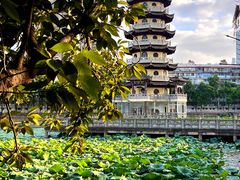 -宝岛公园