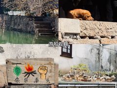 -丝绸小镇荻港古村