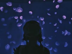 -哈尔滨波塞冬海底世界
