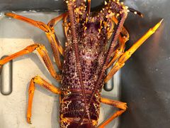 -同乐酒楼(皇后镇店)