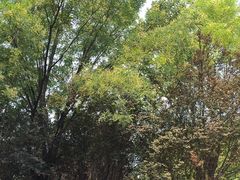 -河北省园博园