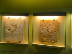 -辽宁古生物博物馆
