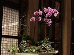 -Cohiba Atmosphere高希霸魅力俱乐部(国贸店)
