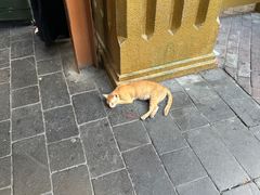 -迪拜黄金市场