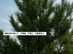 -七娘山
