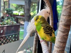 -莫多多餐厅