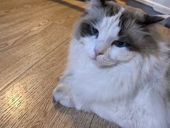 -白兔子密室(长寿路店)