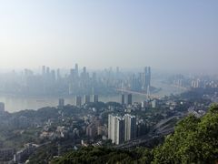 -南山植物园